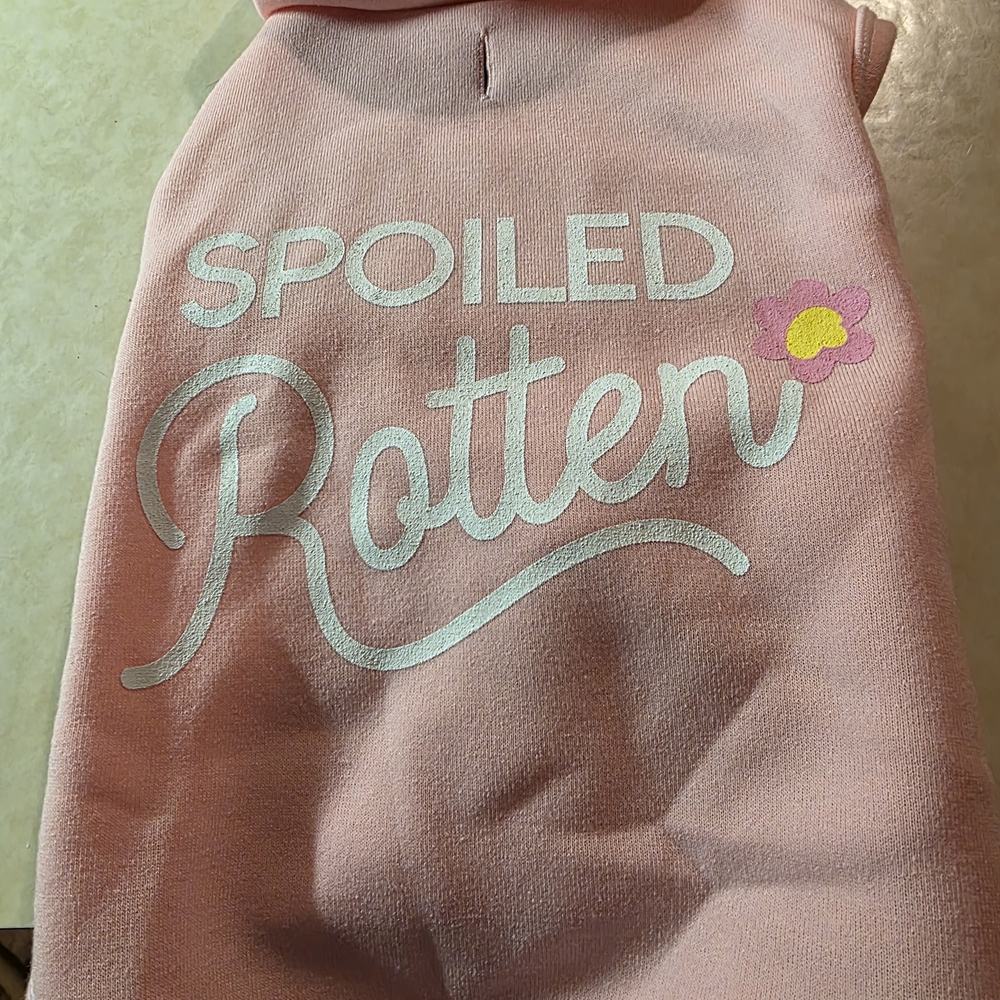 Pink Dog Hoodie with 'Spoiled Rotten' Print